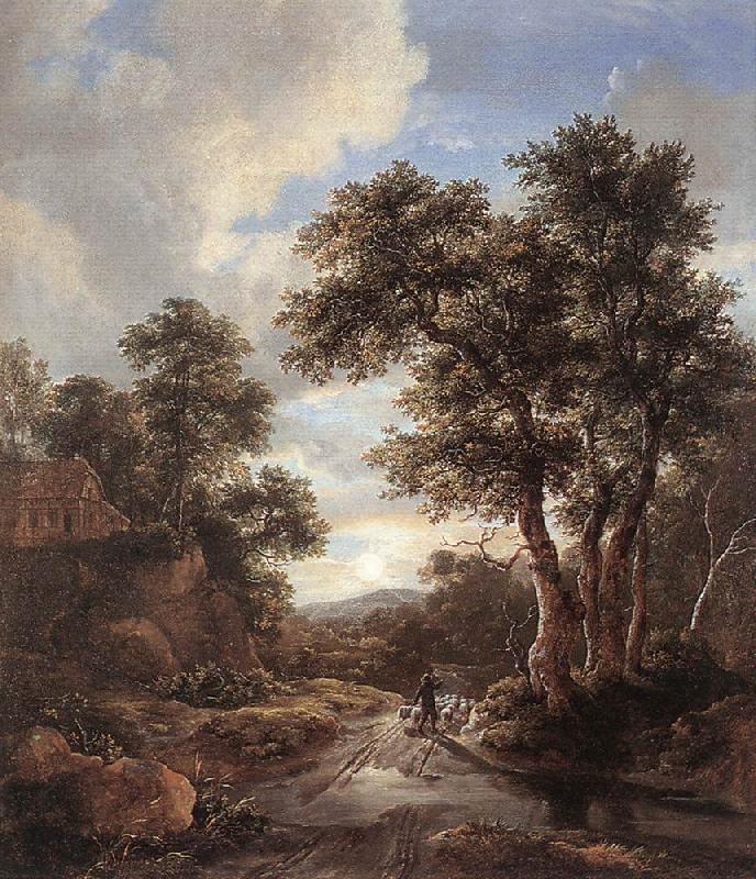 RUISDAEL, Jacob Isaackszon van Sunrise in a Wood at